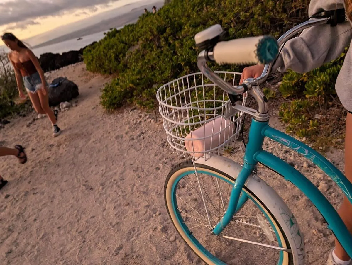 4 Bdrm House For 8 At Kamilo, Mauna Lani -- Ride Bikes Or Walk To Beach Waikoloa USA